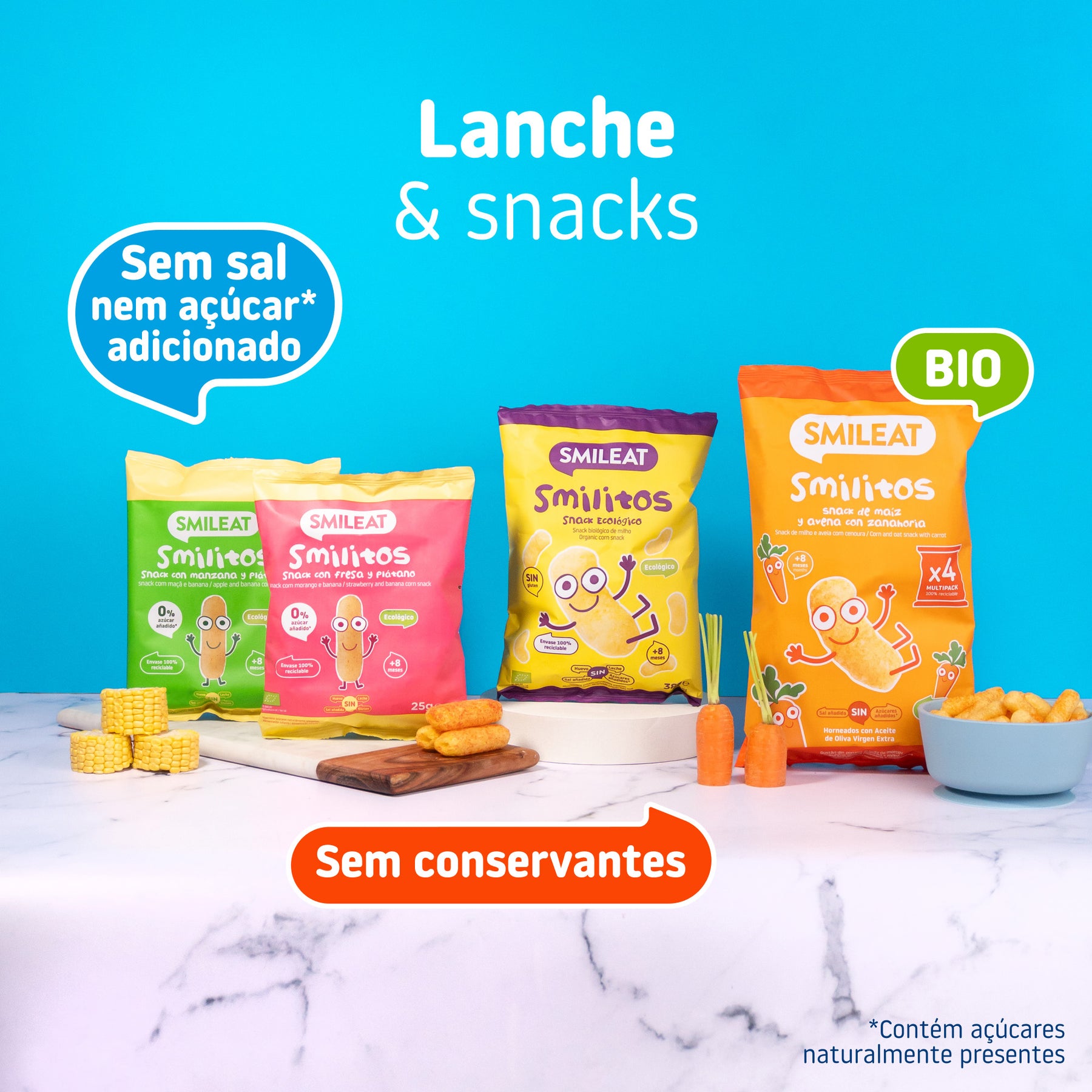 Lanche & Snacks sem sal nem açúca adicionado sem conservates