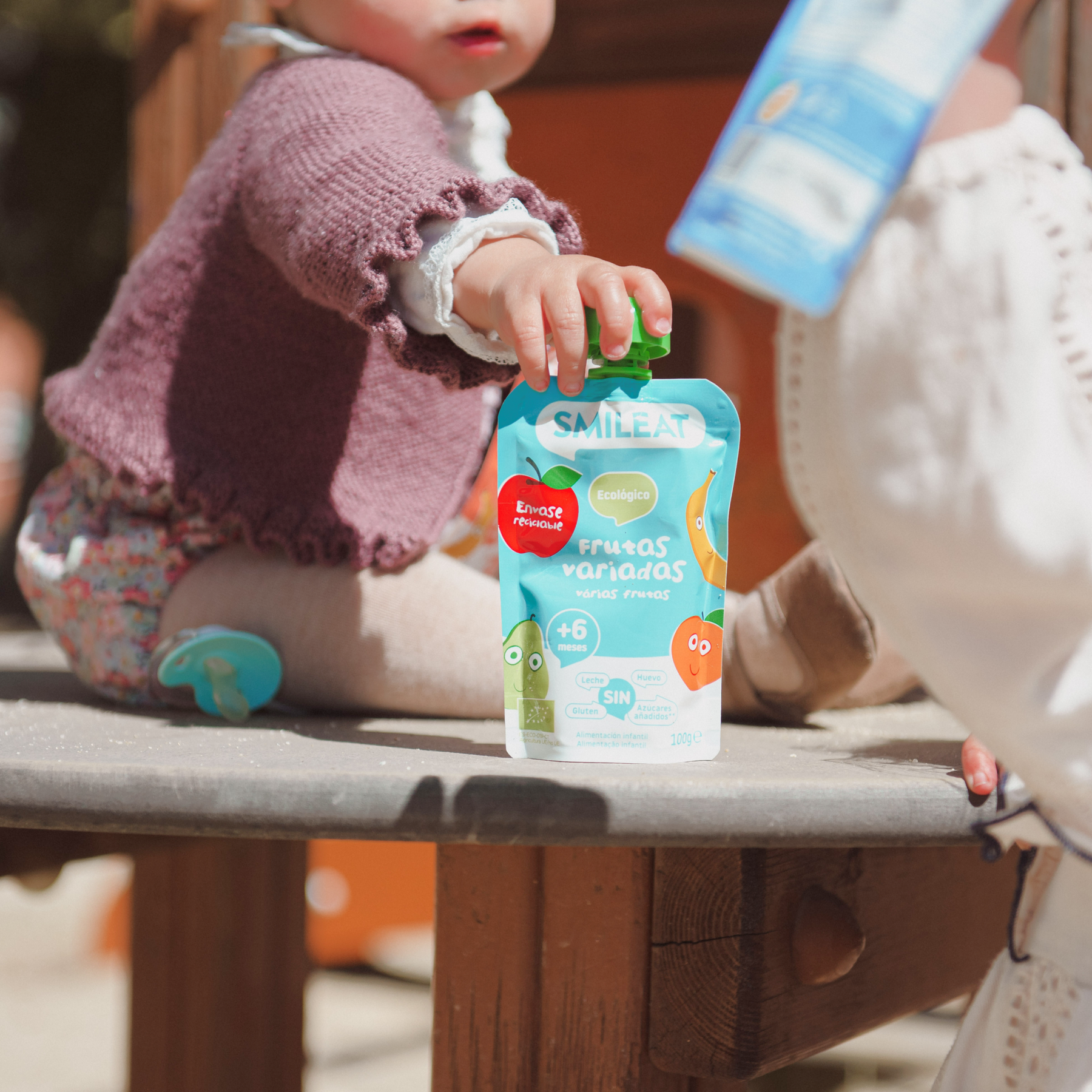 Pouch Várias Frutas 100 g