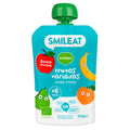 Pouch Várias Frutas 100 g