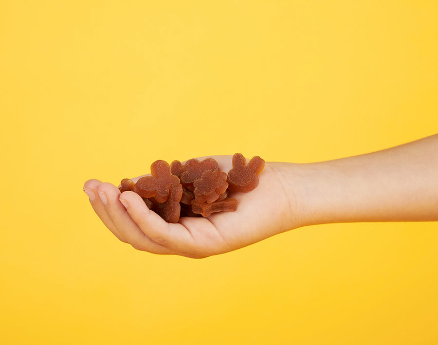 Snack TRIBOO de Maçã